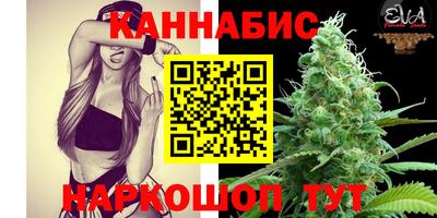 гашик Ливны