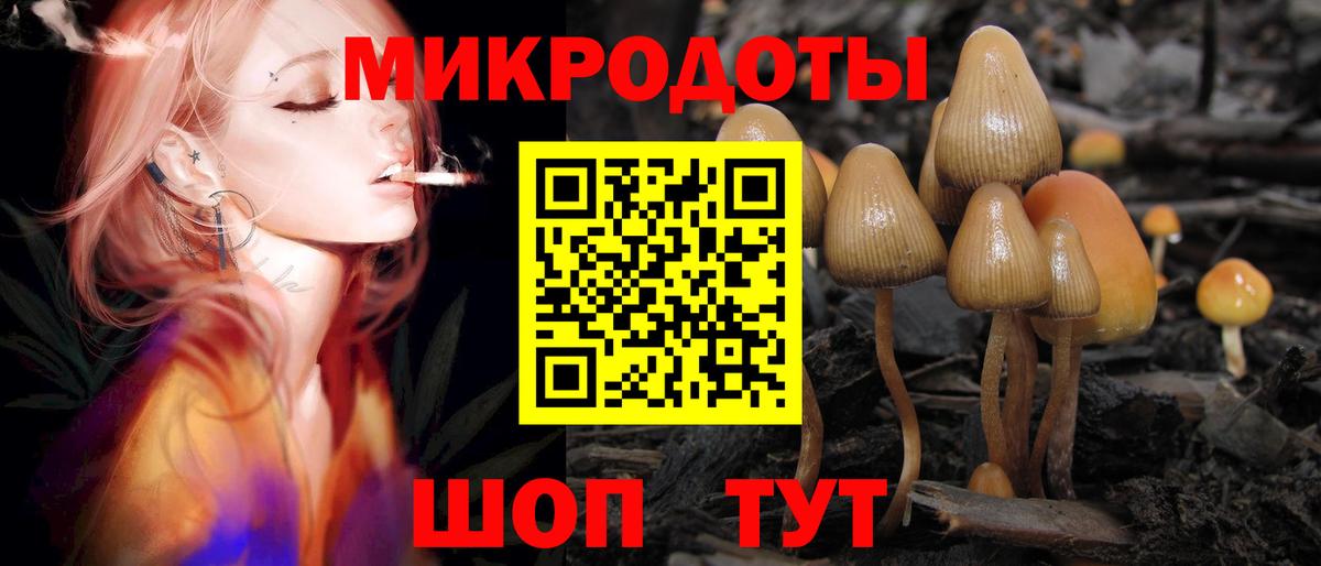 Псилоцибиновые грибы мухоморы  Вход с VPN  Грозный  Галлюциногенные грибы Psilocybine cubensis 